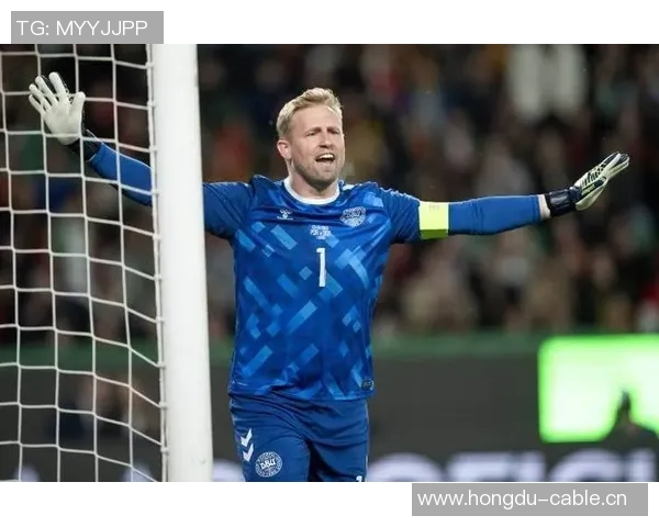 舒梅切尔：对拉门斯的评价需谨慎不宜施加过多压力