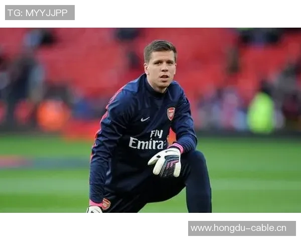 什琴斯尼回忆与温格的隔阂:安于现状的我错失了机会 什琴斯尼回忆与温格的隔阂:安于现状的我错失了机会