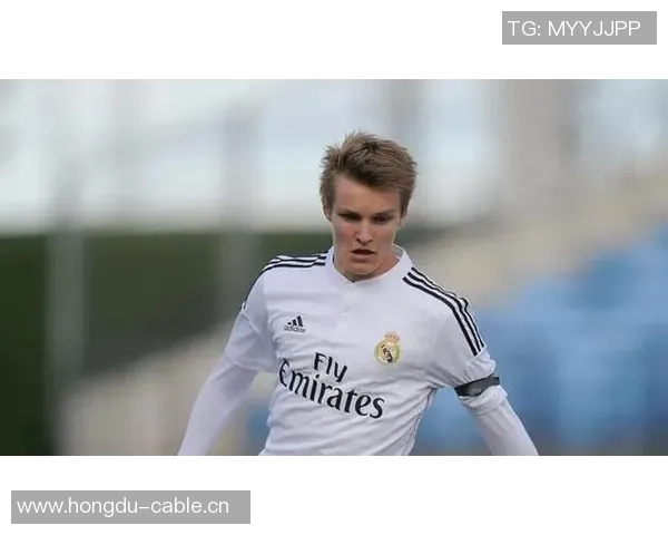 厄德高回顾与挪威队的艰难时刻强调关键战役中队友支持的重要性