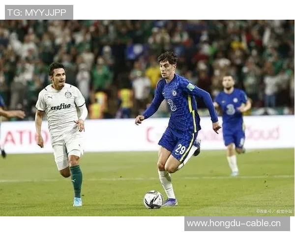 罗纳尔多经纪公司成功签约帕尔梅拉斯中场安德烈斯佩雷拉