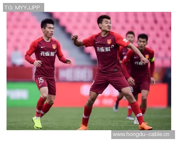 舍什科膝伤困扰或将缺席斯洛文尼亚世预赛征战