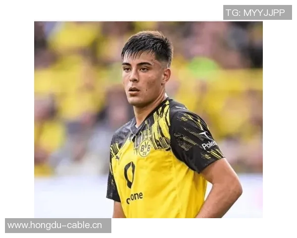 切尔西召回安塞尔米诺进行评估或将留队继续效力